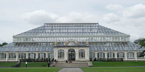 ISG’s 'breathtakingly beautiful' Temperate House reopens at Kew 