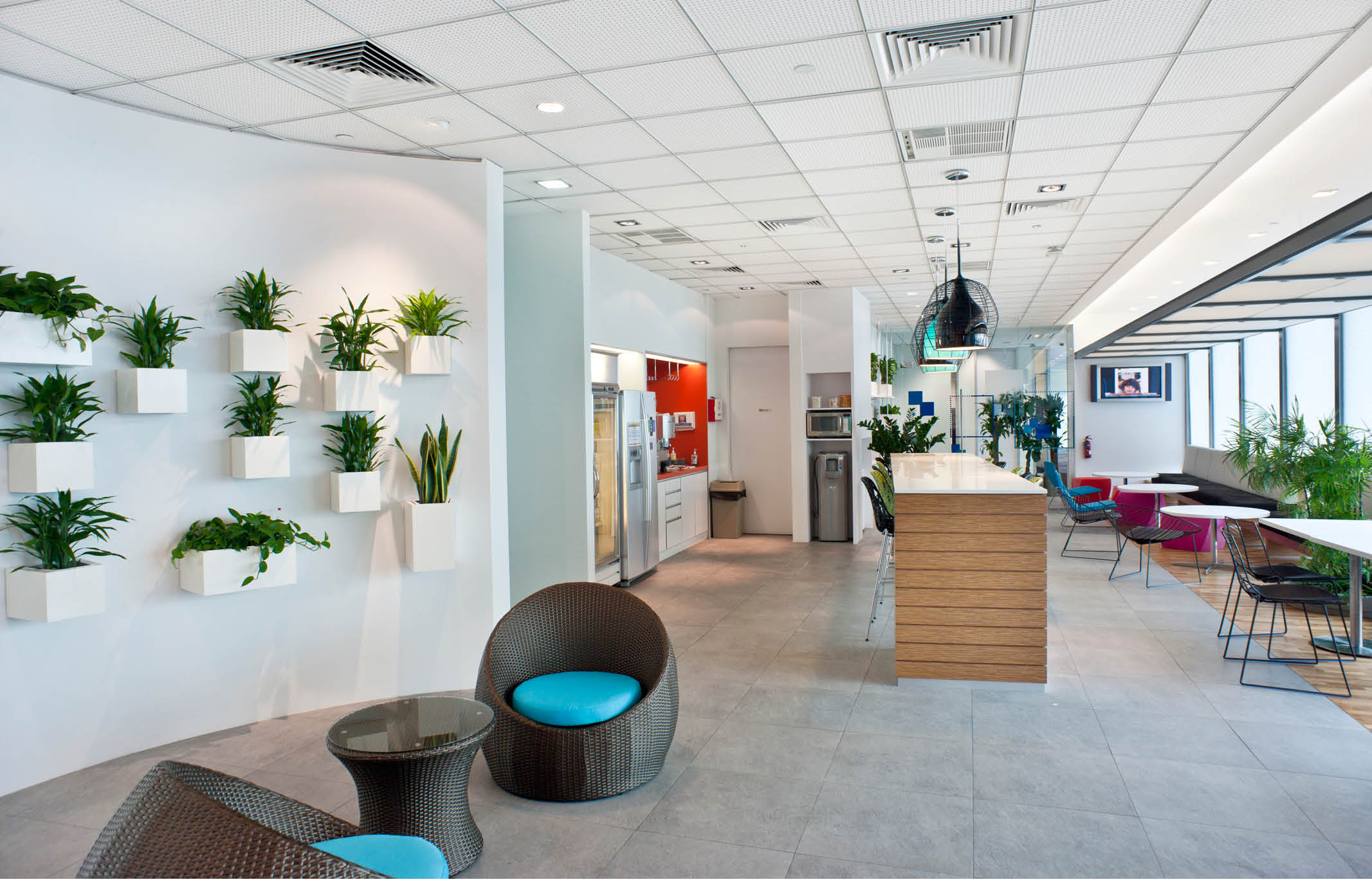 Tables and chairs and wall plant display at Microsoft office Singapore fit out by ISG Ltd