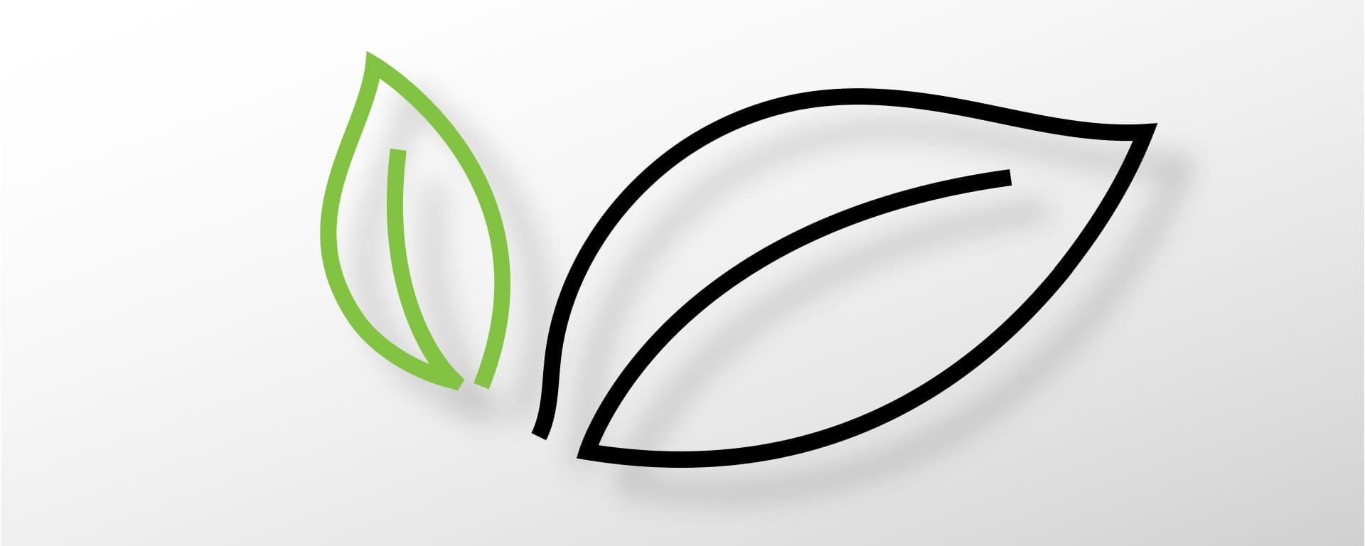Environment graphic: two line drawings of leaves in green and black against white background with shadows