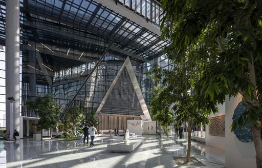 The Summer Garden at ICDBP