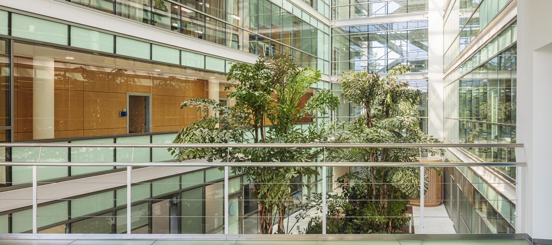 Oficinas Laboratorio Barcelona