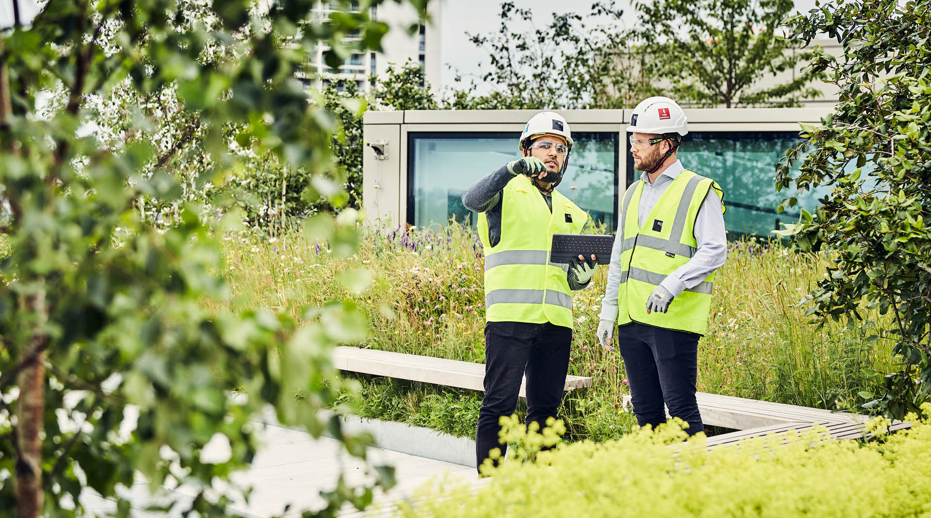 Two men in hi-viz vests and hard hats surrounded by green plants